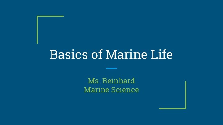 Basics of Marine Life Ms. Reinhard Marine Science 