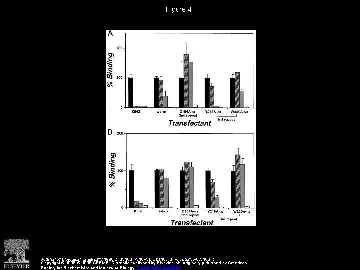 Figure 4 Journal of Biological Chemistry 1998 27331837 -31843 DOI: (10. 1074/jbc. 273. 48.