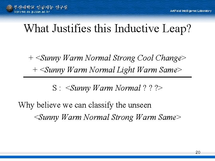 What Justifies this Inductive Leap? + <Sunny Warm Normal Strong Cool Change> + <Sunny What Justifies this Inductive Leap? + <Sunny Warm Normal Strong Cool Change> + <Sunny