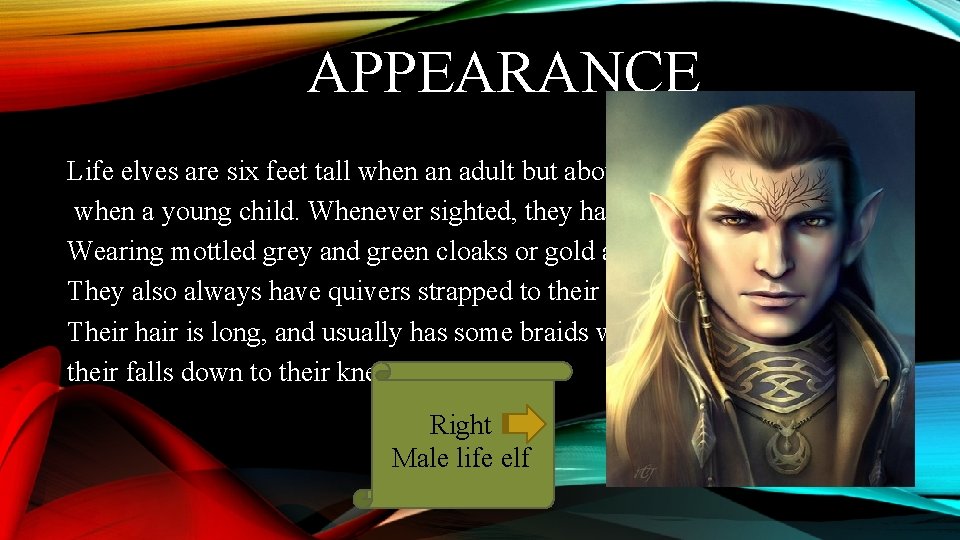 APPEARANCE Life elves are six feet tall when an adult but about three feet