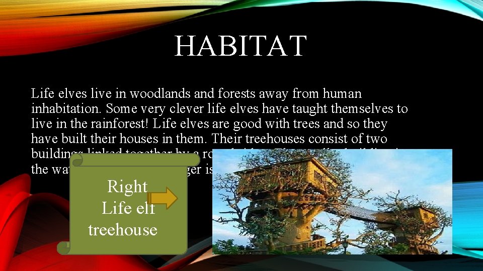 HABITAT Life elves live in woodlands and forests away from human inhabitation. Some very