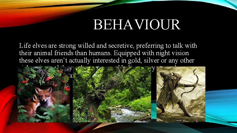 BEHAVIOUR Life elves are strong willed and secretive, preferring to talk with their animal