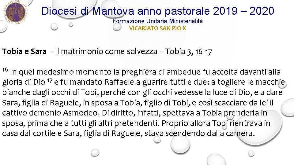 Diocesi di Mantova anno pastorale 2019 – 2020 Formazione Unitaria Ministerialità VICARIATO SAN PIO