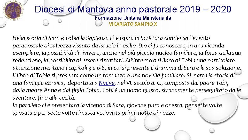 Diocesi di Mantova anno pastorale 2019 – 2020 Formazione Unitaria Ministerialità VICARIATO SAN PIO