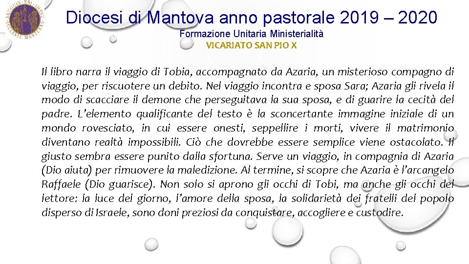 Diocesi di Mantova anno pastorale 2019 – 2020 Formazione Unitaria Ministerialità VICARIATO SAN PIO