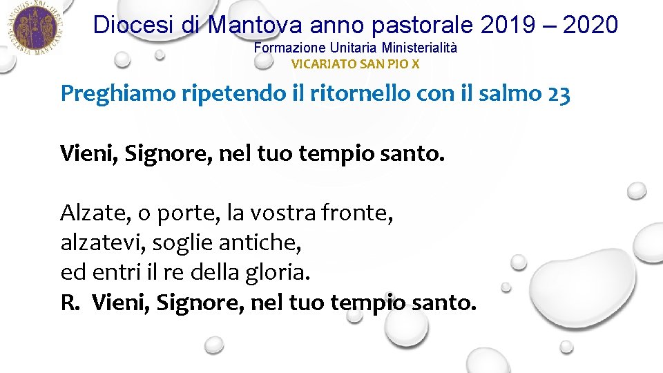 Diocesi di Mantova anno pastorale 2019 – 2020 Formazione Unitaria Ministerialità VICARIATO SAN PIO