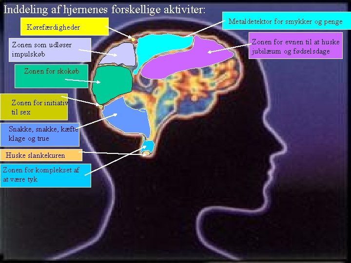 Inddeling af hjernenes forskellige aktiviter: Kørefærdigheder Zonen som udløser impulskøb Zonen for skokøb Zonen