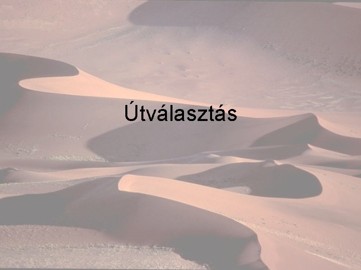 Útválasztás 