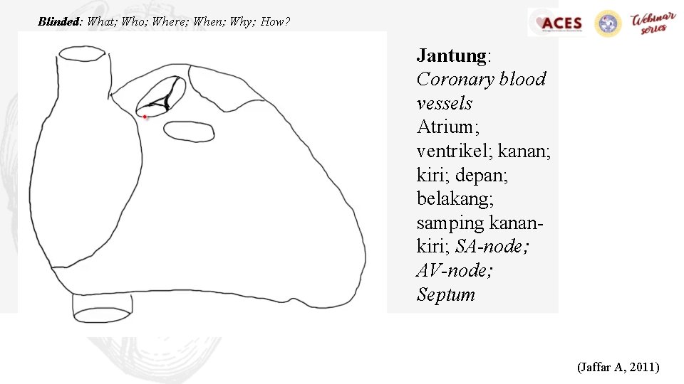 Blinded: What; Who; Where; When; Why; How? Jantung: Coronary blood vessels Atrium; ventrikel; kanan;
