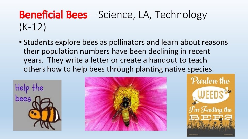 Beneficial Bees – Science, LA, Technology (K-12) • Students explore bees as pollinators and