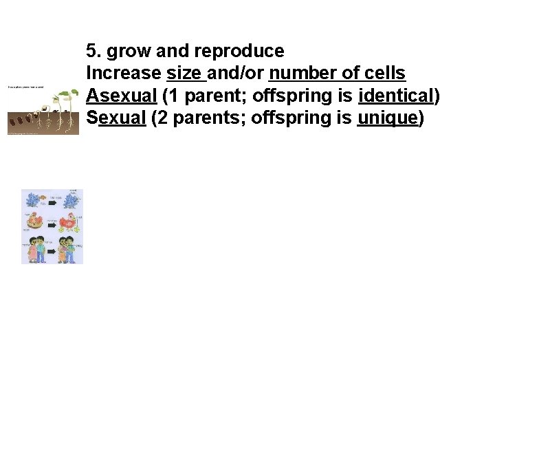 5. grow and reproduce Increase size and/or number of cells Asexual (1 parent; offspring