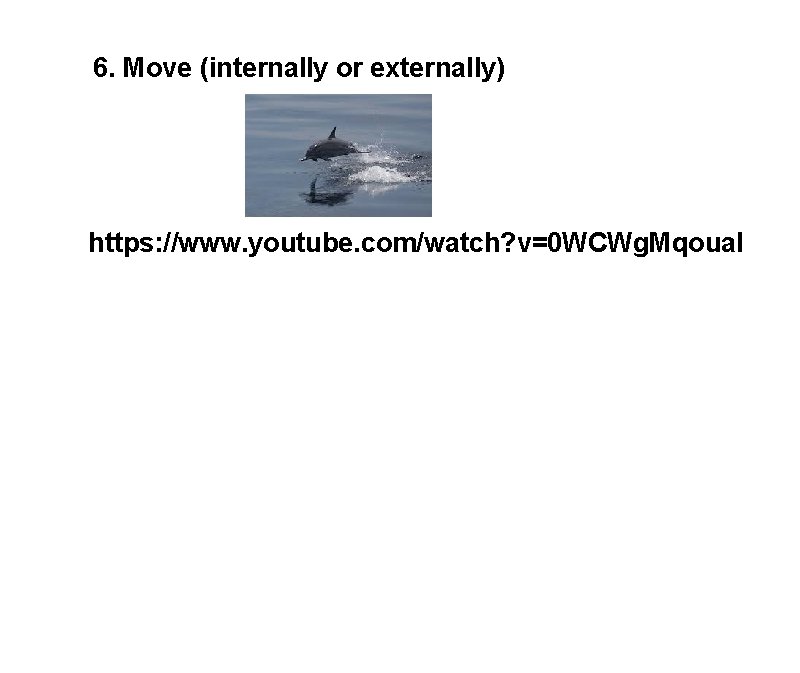 6. Move (internally or externally) https: //www. youtube. com/watch? v=0 WCWg. Mqoua. I 