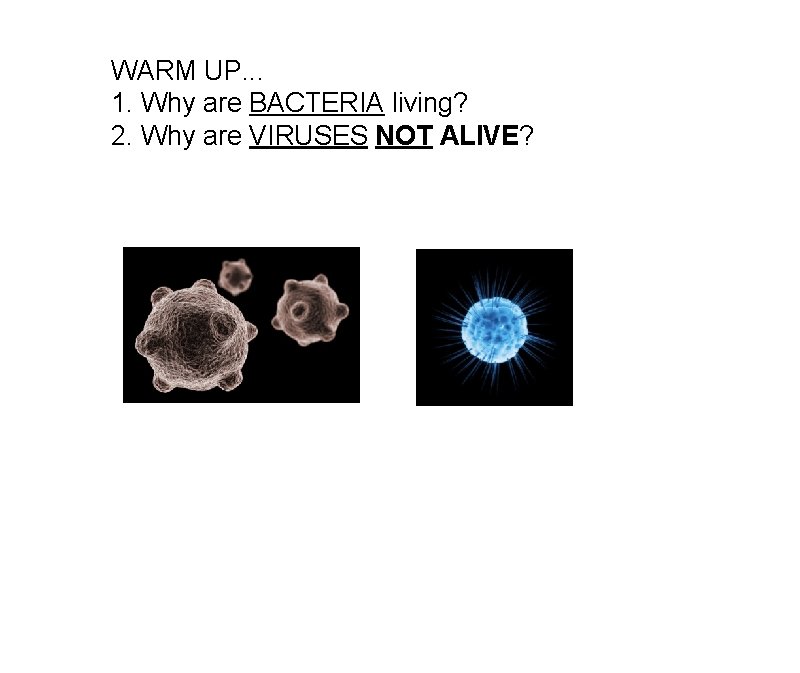 WARM UP. . . 1. Why are BACTERIA living? 2. Why are VIRUSES NOT