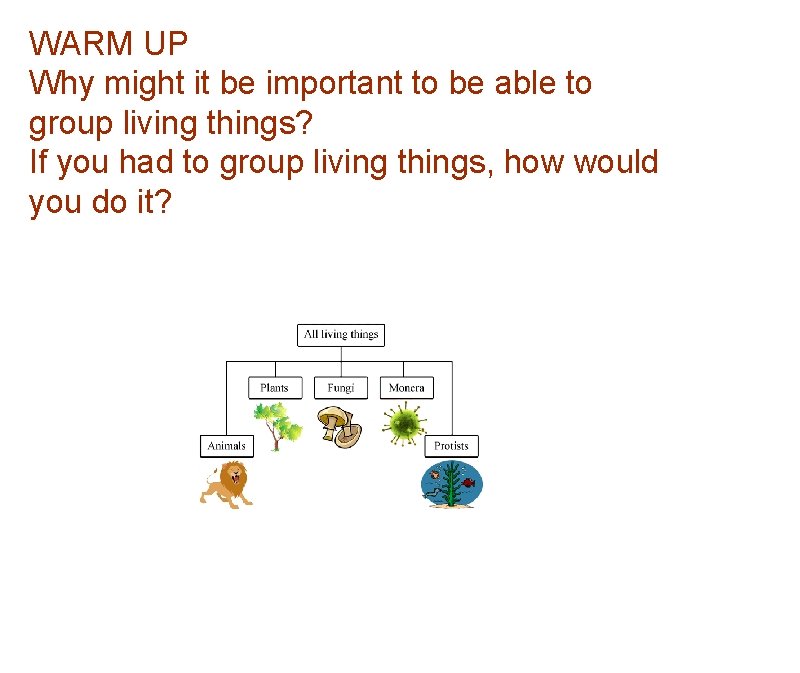 WARM UP Why might it be important to be able to group living things?