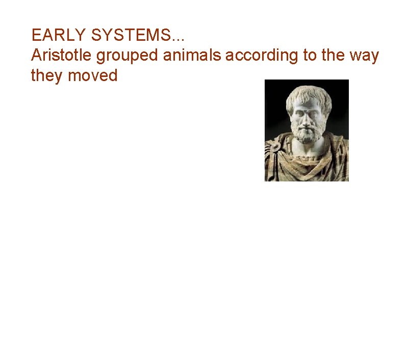 EARLY SYSTEMS. . . Aristotle grouped animals according to the way they moved 