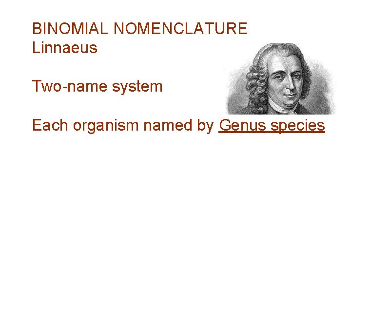 BINOMIAL NOMENCLATURE Linnaeus Two-name system Each organism named by Genus species 