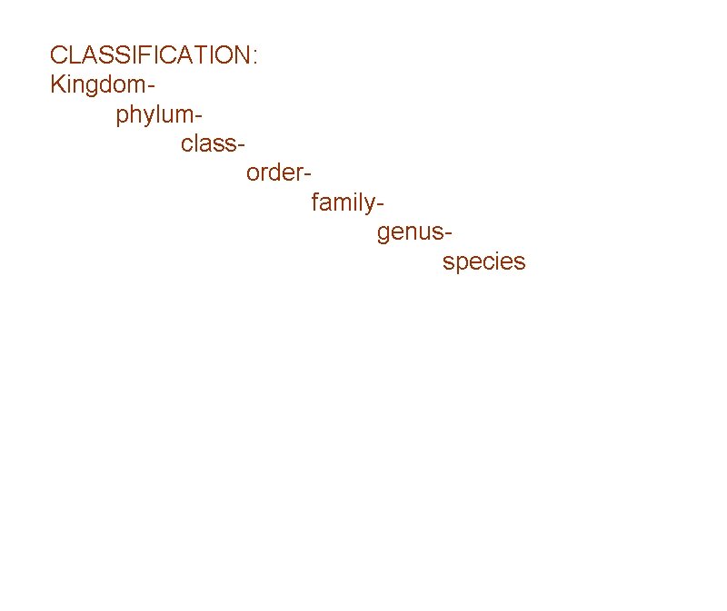 CLASSIFICATION: Kingdomphylumclassorderfamilygenusspecies 
