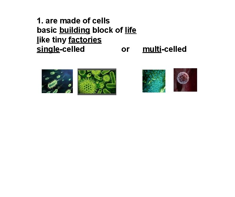 1. are made of cells basic building block of life like tiny factories single-celled