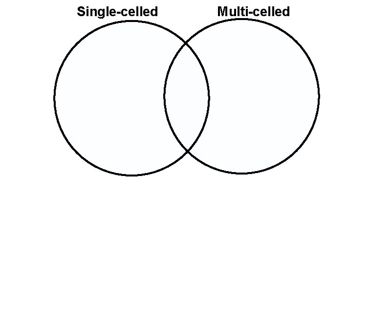 Single-celled Multi-celled 