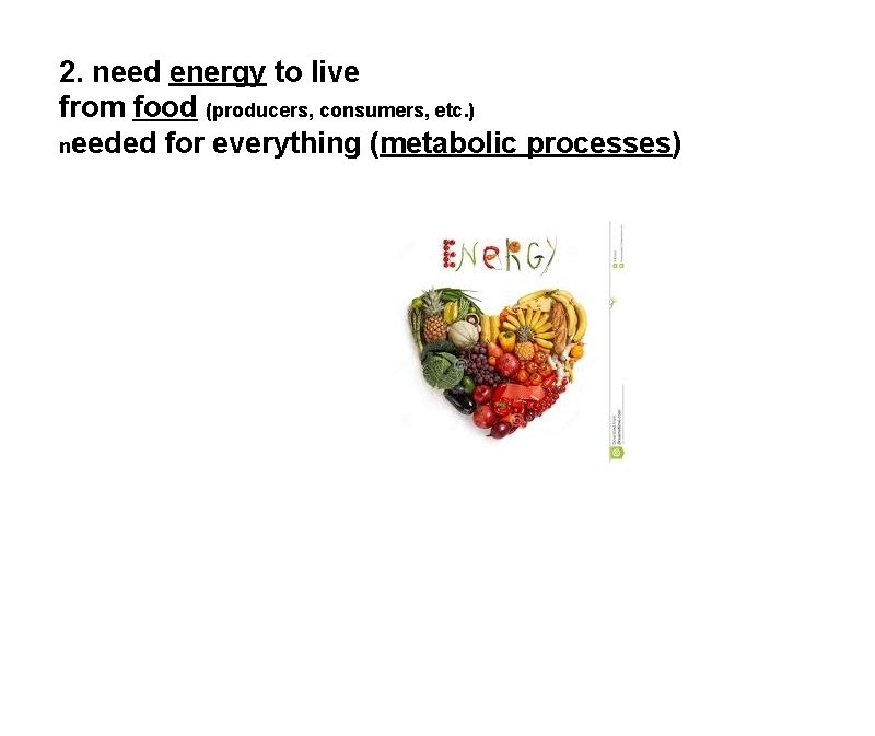 2. need energy to live from food (producers, consumers, etc. ) needed for everything