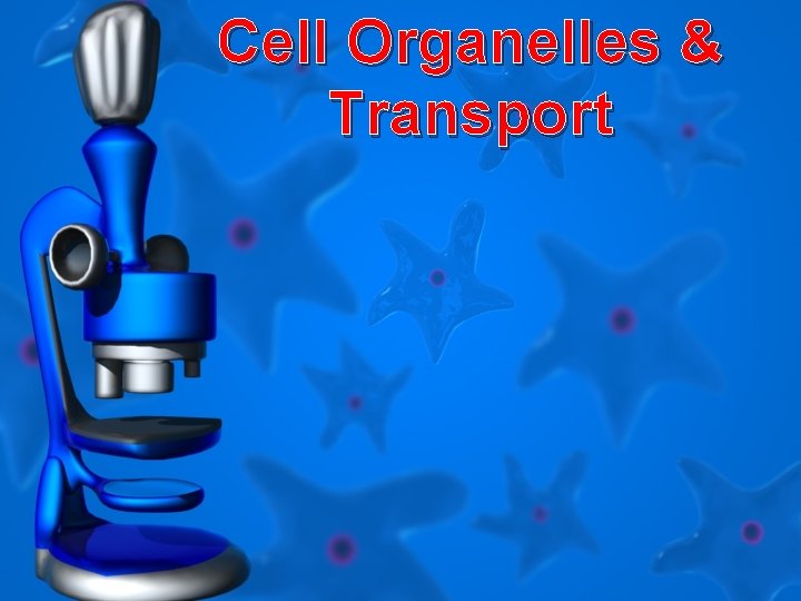 Cell Organelles & Transport 