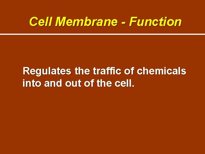 Cell Membrane - Function Regulates the traffic of chemicals into and out of the Cell Membrane - Function Regulates the traffic of chemicals into and out of the