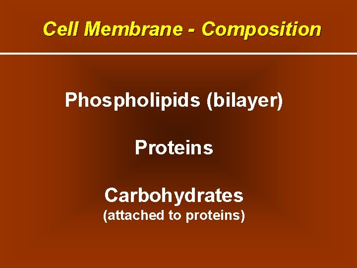 Cell Membrane - Composition Phospholipids (bilayer) Proteins Carbohydrates (attached to proteins) Cell Membrane - Composition Phospholipids (bilayer) Proteins Carbohydrates (attached to proteins)