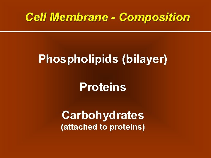 Cell Membrane - Composition Phospholipids (bilayer) Proteins Carbohydrates (attached to proteins) 