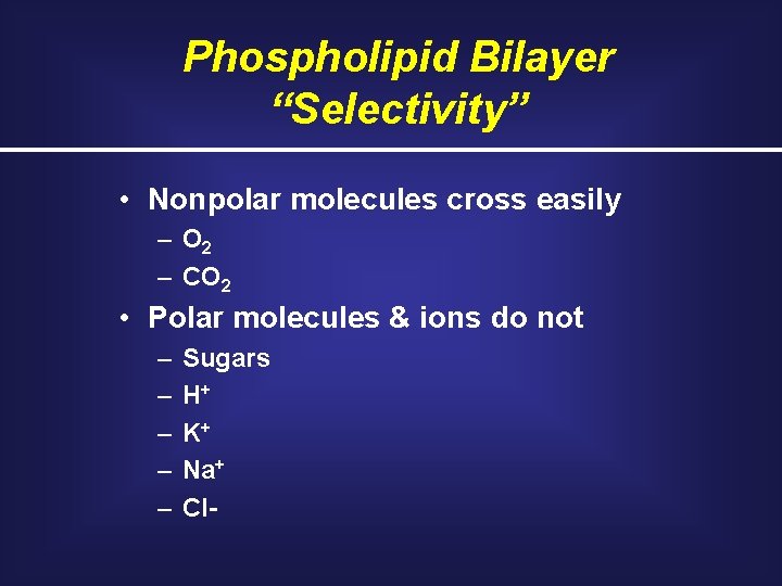 Phospholipid Bilayer “Selectivity” • Nonpolar molecules cross easily – O 2 – CO 2 Phospholipid Bilayer “Selectivity” • Nonpolar molecules cross easily – O 2 – CO 2