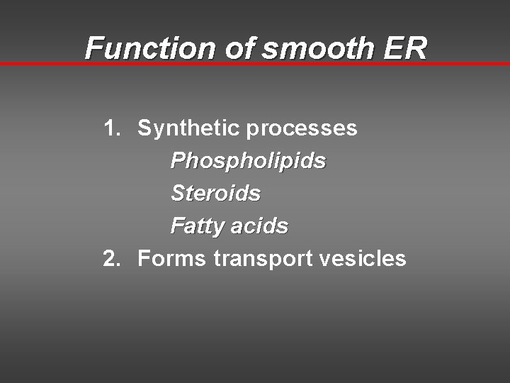 Function of smooth ER 1. Synthetic processes Phospholipids Steroids Fatty acids 2. Forms transport