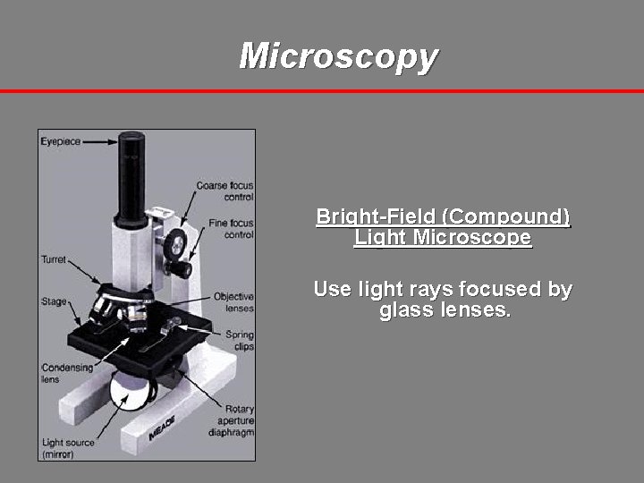 Microscopy Bright-Field (Compound) Light Microscope Use light rays focused by glass lenses. 