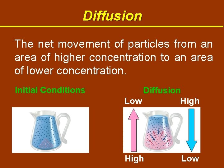 Diffusion The net movement of particles from an area of higher concentration to an