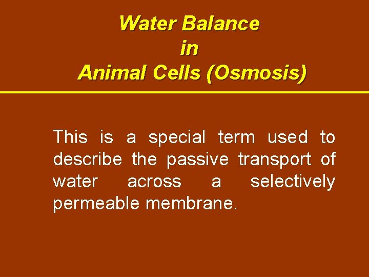 Water Balance in Animal Cells (Osmosis) This is a special term used to describe