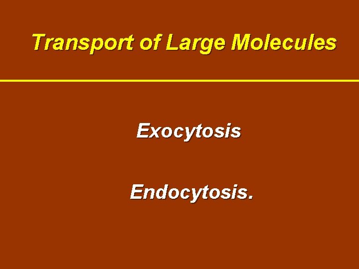 Transport of Large Molecules Exocytosis Endocytosis. Transport of Large Molecules Exocytosis Endocytosis.
