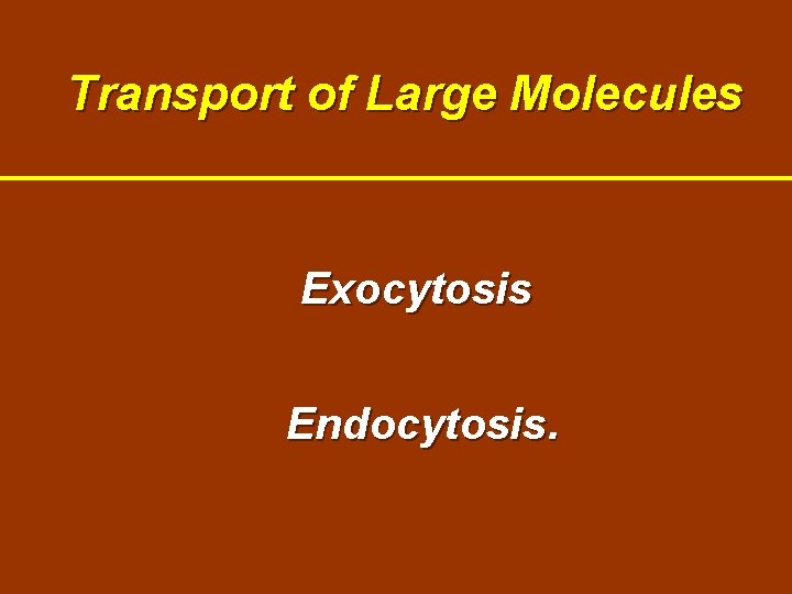 Transport of Large Molecules Exocytosis Endocytosis. 