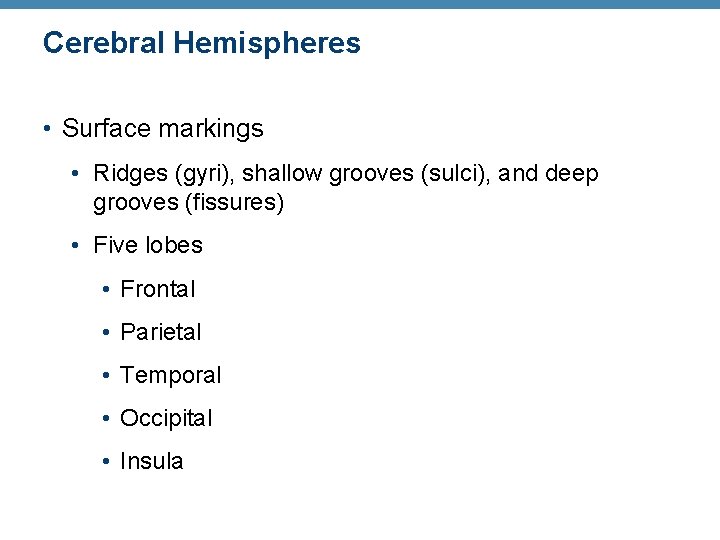 Cerebral Hemispheres • Surface markings • Ridges (gyri), shallow grooves (sulci), and deep grooves