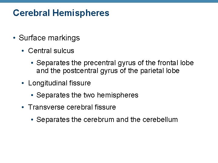 Cerebral Hemispheres • Surface markings • Central sulcus • Separates the precentral gyrus of Cerebral Hemispheres • Surface markings • Central sulcus • Separates the precentral gyrus of