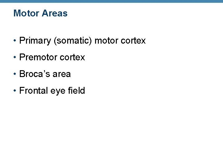 Motor Areas • Primary (somatic) motor cortex • Premotor cortex • Broca’s area •