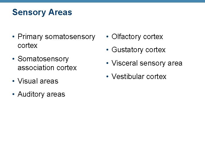 Sensory Areas • Primary somatosensory cortex • Somatosensory association cortex • Visual areas •