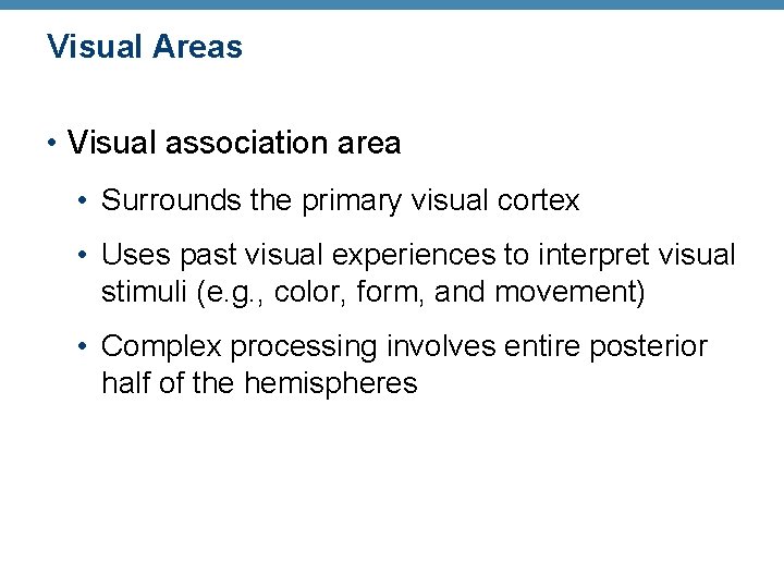 Visual Areas • Visual association area • Surrounds the primary visual cortex • Uses