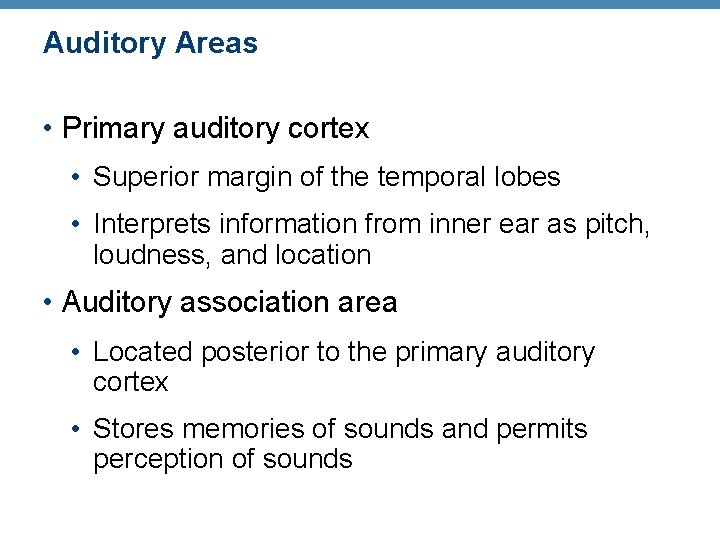 Auditory Areas • Primary auditory cortex • Superior margin of the temporal lobes •