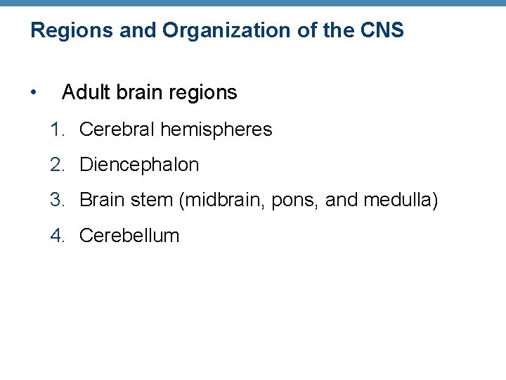 Regions and Organization of the CNS • Adult brain regions 1. Cerebral hemispheres 2.