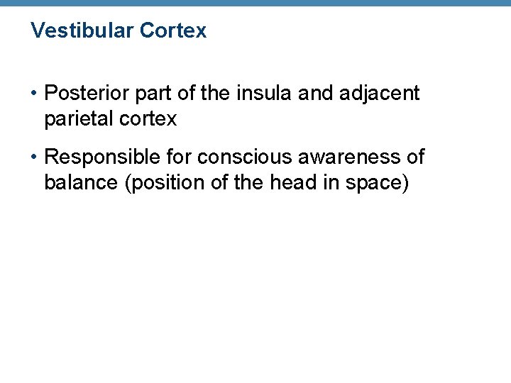 Vestibular Cortex • Posterior part of the insula and adjacent parietal cortex • Responsible