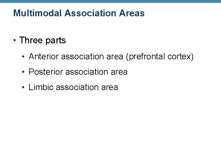 Multimodal Association Areas • Three parts • Anterior association area (prefrontal cortex) • Posterior