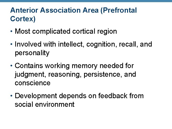 Anterior Association Area (Prefrontal Cortex) • Most complicated cortical region • Involved with intellect,