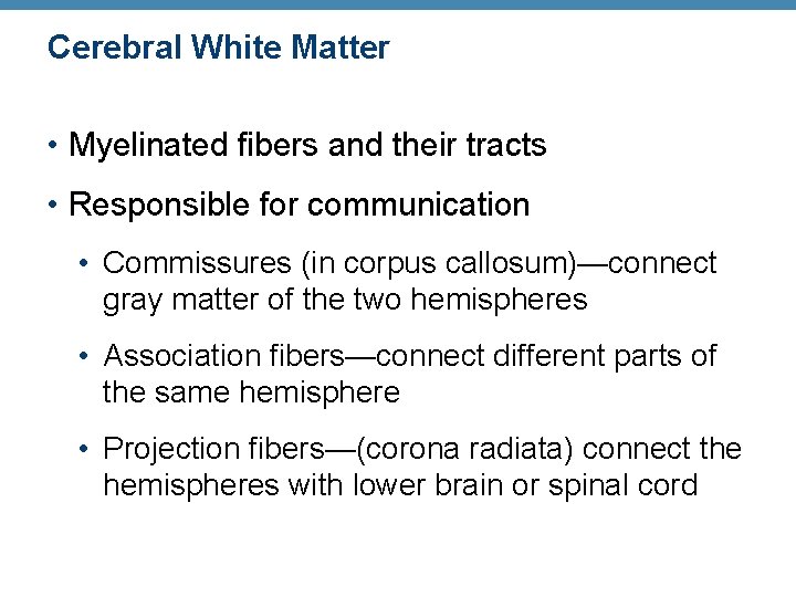 Cerebral White Matter • Myelinated fibers and their tracts • Responsible for communication •