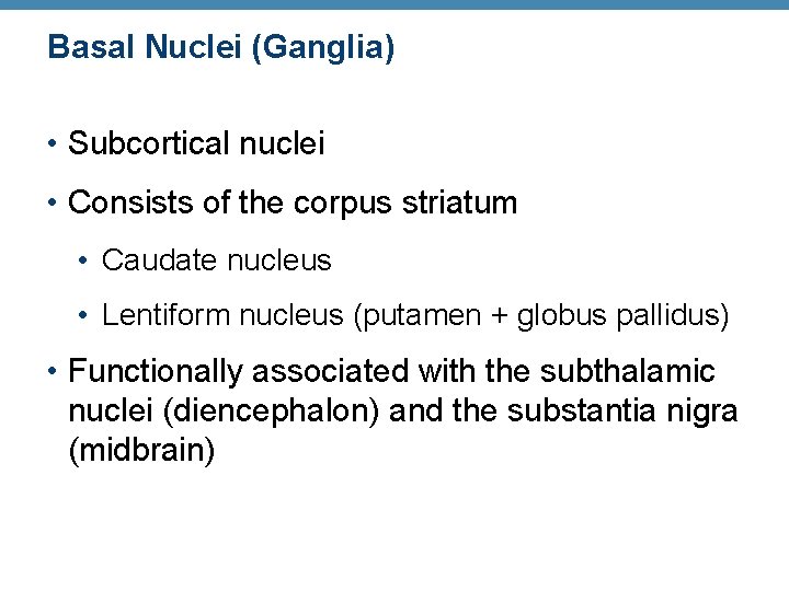 Basal Nuclei (Ganglia) • Subcortical nuclei • Consists of the corpus striatum • Caudate Basal Nuclei (Ganglia) • Subcortical nuclei • Consists of the corpus striatum • Caudate