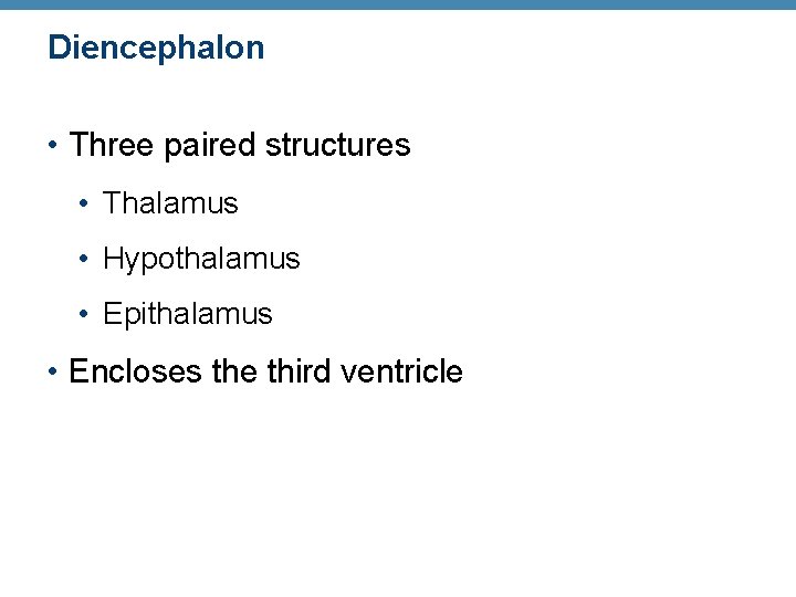Diencephalon • Three paired structures • Thalamus • Hypothalamus • Epithalamus • Encloses the