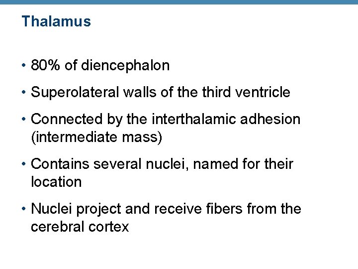 Thalamus • 80% of diencephalon • Superolateral walls of the third ventricle • Connected