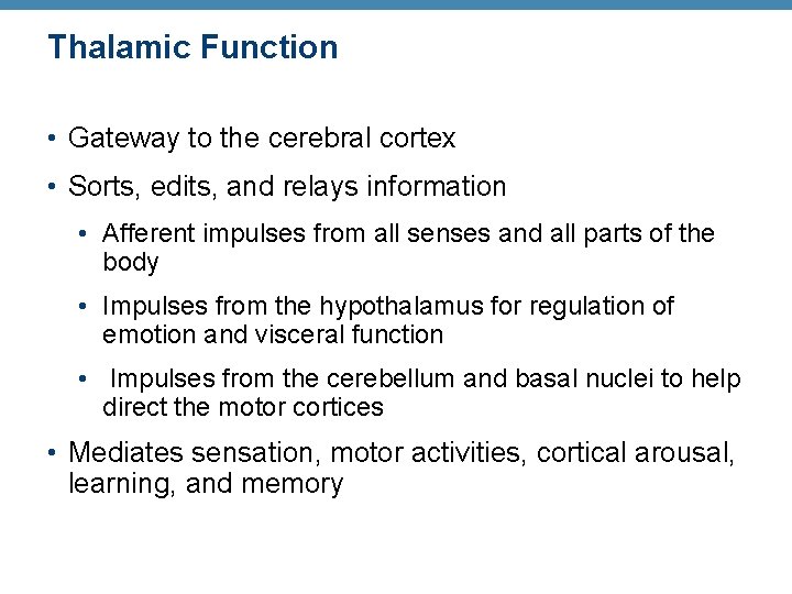 Thalamic Function • Gateway to the cerebral cortex • Sorts, edits, and relays information Thalamic Function • Gateway to the cerebral cortex • Sorts, edits, and relays information